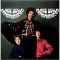Jimi Hendrix Experience Are You Experienced (2LP)